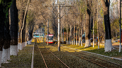 Fallen leaves landscape of tram on Chuncheng Street, Changchun, China