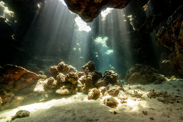 Underwater canyon