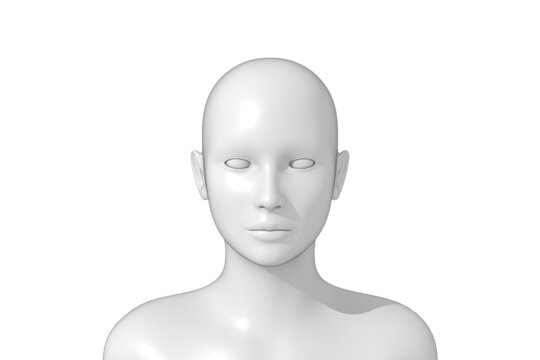 Woman, Human Female Head, 3D