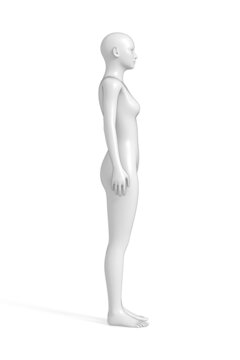 Ilustração do Stock: Woman, Human Female Body, 3D