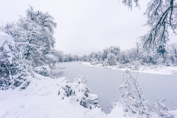 Verschneite Winterlandschaft mit gefrorenem Weiher (Fischbach-Göslikon, Schweiz)
