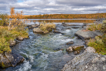 Vivid Autumn Stream or Water scene in Remote wilderness of arctic Pieljekaise National Park South of Jakkvik, Sweden on a sunny autumn day with yellow and orange colors in nature.