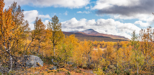 Pieljekaise Mountain Summit in Autumn colors in Remote wilderness of arctic Pieljekaise National Park South of Jakkvik, Sweden on a sunny autumn day with yellow and orange colors in nature.