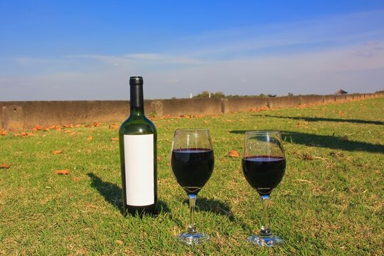  Selective focus to wine bottle close up with white label and glasses with red wine on lawn against blue sky. Nice pastime with red argentinian wine tasting on horse polo field grass.