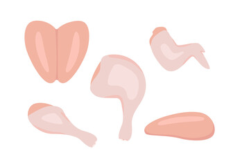 Raw chicken meat set, broiler chick pieces. Chicken leg, wing, leg, breast, drumstick, fillet. Cooking food. Vector cartoon illustration