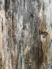 Natural Old wood texture, from very old garden door