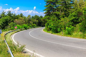 Asphalt winding road in a green forest