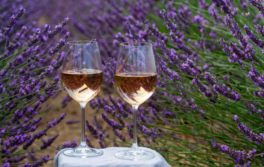 Summer in French Provence, cold gris rose wine from Cotes de Provence and colorful lavender fields...