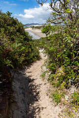 Fototapeta na wymiar Trail to the beach with vegetation around