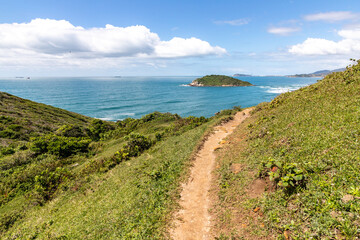 Trail to the beach with istand and vegetation