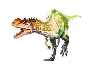 Bright colorful dinosaur. Allosaurus new watercolor print on white background. - 469387425