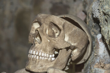 gruseliger Totenkopf - Nahaufnahme Skelett