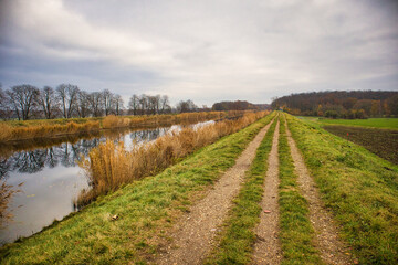 Fototapeta premium Ländlicher Feldweg auf dem Deich am Elster-Saale-Kanal mit herbstlichem Schilf und weitem Horizont, Leipzig, Sachsen, Deutschland