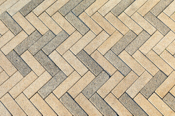 Footpath of thin rectangle-shaped paving stones