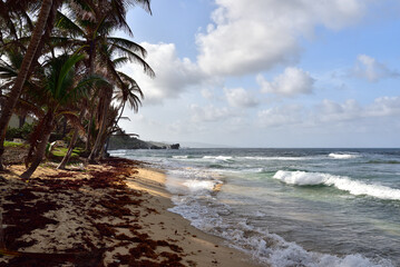 Coastline in Barbados with Rocks and Ocean Water