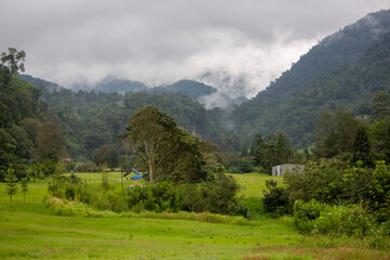 landscape in the mountains