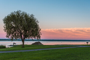 Person sitting at a lake beneath a tree during sunset