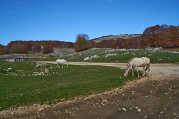 Obraz premium Campaegli in the autumn, Monti Simbruini Natural Regional Park 