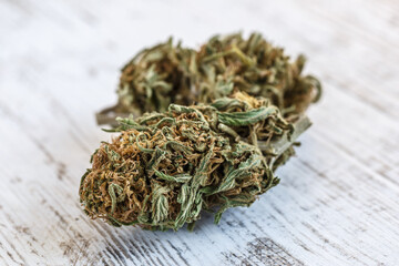 Macro close-up of vibrant green marijuana buds. covered in thc crystals and orange hairs next to...