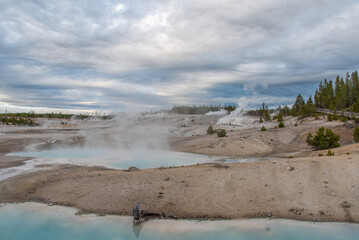 Steaming Mud Pod Area in famous Yellowstone National Park