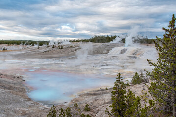 Steaming Mud Pod Area in famous Yellowstone National Park