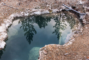Steaming Mud Pod Area in famous Yellowstone National Park