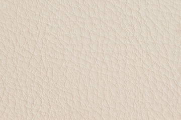 Texture of genuine leather, light cream color. For background, copy space