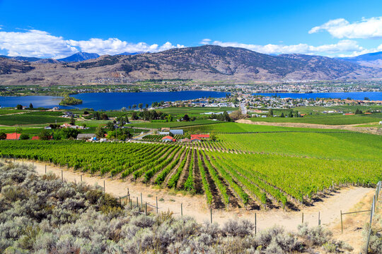 Osoyoos Lake Okanagan Valley Landscape