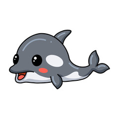 Cute little killer whale cartoon