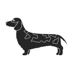 Dachshund vector icon.Black vector icon isolated on white background dachshund.