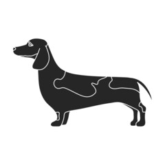 Dachshund vector icon.Black vector icon isolated on white background dachshund.