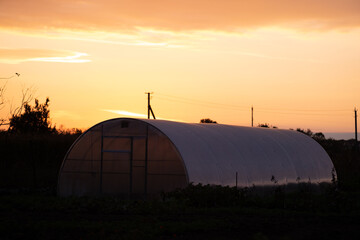 Fototapeta na wymiar Greenhouses and a yellow illuminated sky during sunset