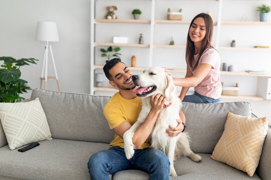 Joyful young diverse couple stroking their cute dog on couch at home, empty space
