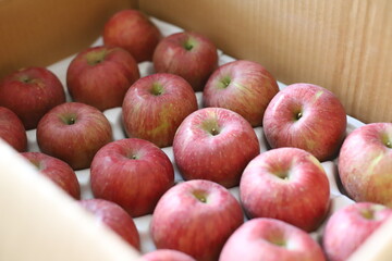 organic healthy fruit red apple