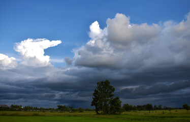 Naklejka na ściany i meble clouds over the field