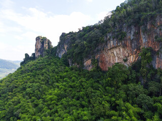 Fototapeta na wymiar Bamboo forest on the mountain cliff with green tree, nature mountain rock stone beautiful in the forest