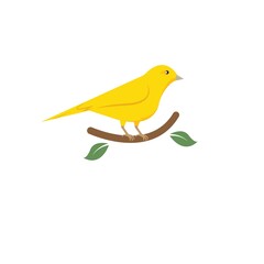 canary bird icon vector illustration concept design