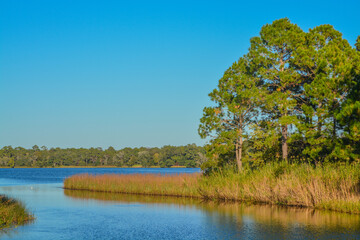 Obraz premium Basin Bayou in Freeport, Walton County, Florida 