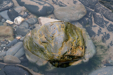 Wet rokcs and sand on low tide.