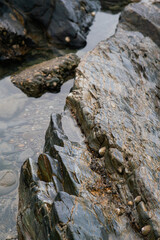 Wet rokcs and sand on low tide.