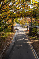 Car under the bridge 