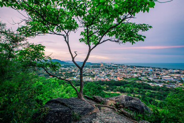 Obraz premium panoramic background of high mountain scenery, overlooking the atmosphere of the sea, trees and wind blowing in a cool blur, spontaneous beauty