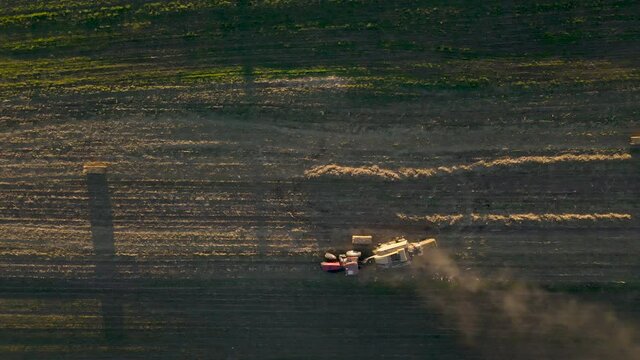 Tractor Kicking Up Dust Late In Season In Afternoon Light, Pennsylvania, U.S.A., Farmland