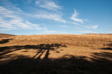 Fototapeta premium Shadow of a tree on a cushion in Rio Grande do Sul