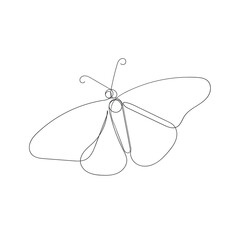 continuous line drawing butterfly illustration vector isolated