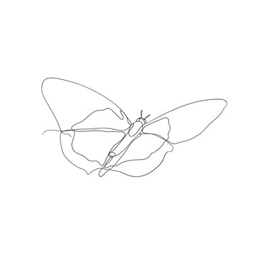 continuous line drawing butterfly illustration vector isolated