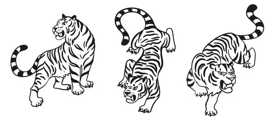 Graphic tigers set. Black and white Collection of predatory wild cats. Vector illustration isolated on white background.