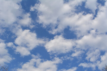 Blue sky with white clouds. Summer day