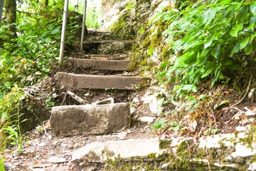 Old archeology architecture stairs and green plant