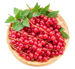 Sweet Red currant berries in basket isolated on white background, Red currant berries isolated on white background With clipping path.	